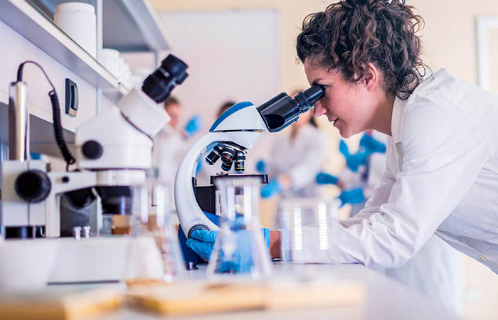 İtalya’da İngilizce Tıp Eğitimi Veren Devlet Üniversiteleri